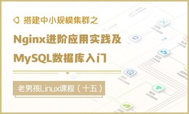 搭建中小规模集群-Nginx进阶应用实践及MySQL数据库入门（十五）