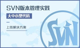 SVN版本管理实践与大中小型代码上线解决方案精讲视频课程