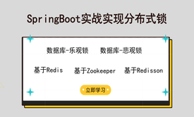 SpringBoot实战实现分布式锁视频课程