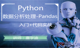 大数据 Python数据分析处理库-pandas实战视频课程