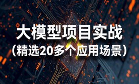 大模型项目实战：Python编程 &amp; LangChain进阶（20多个应用场景）