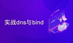 实战dns服务器-bind