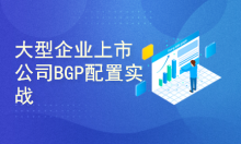 15年三IE,大型企业上市公司BGP配置,网络工程师玩转交换机路由器BGP配置HCIP专题