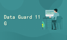 Oracle 11g Data Guard管理